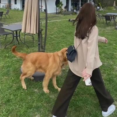 当我还是个男孩